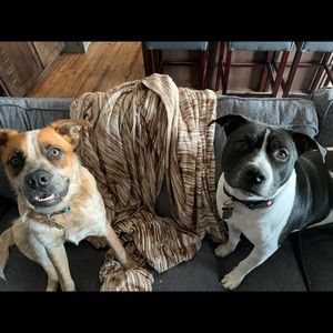 Meet your Posher, Sam